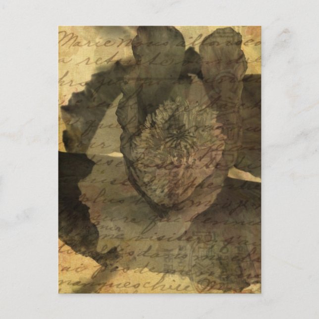 Vallmo 3 vykort (Framsida)