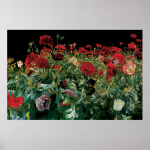 Vallmo av John Singer Sargent, Vintage blommor Poster