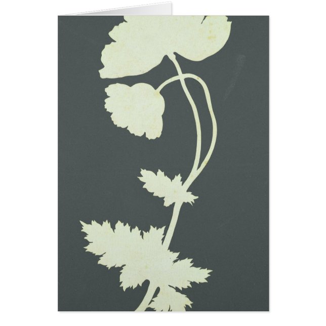 Vallmo Hälsningskort (Framsidan)