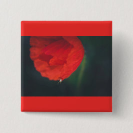 Vallmo och spindel knapp