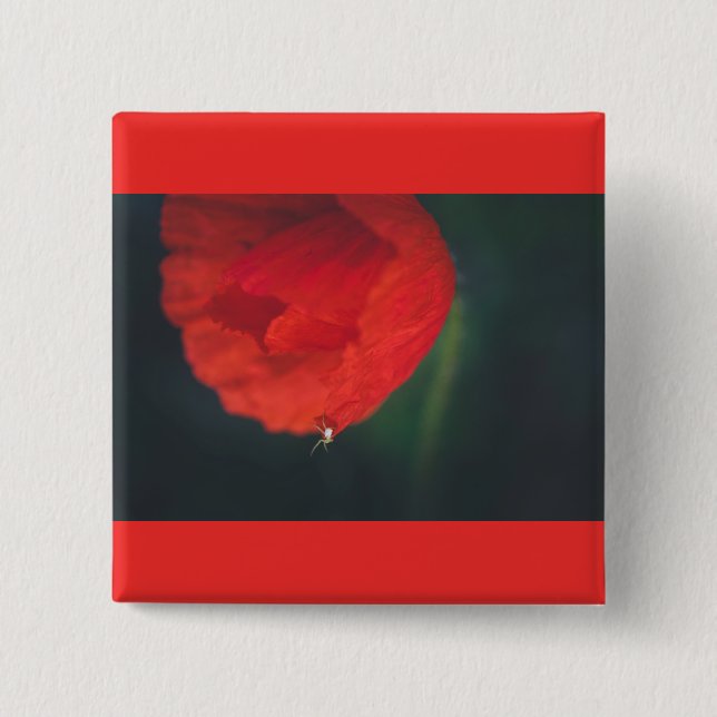 Vallmo och spindel knapp (Framsida)