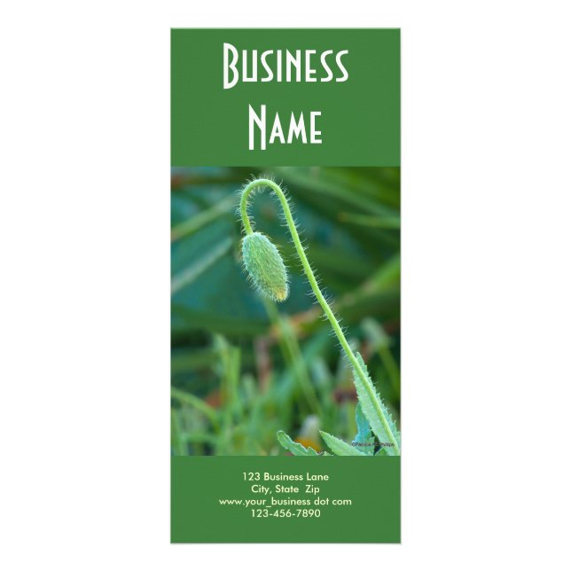 Vallmo pågår reklamkort (Framsidan)