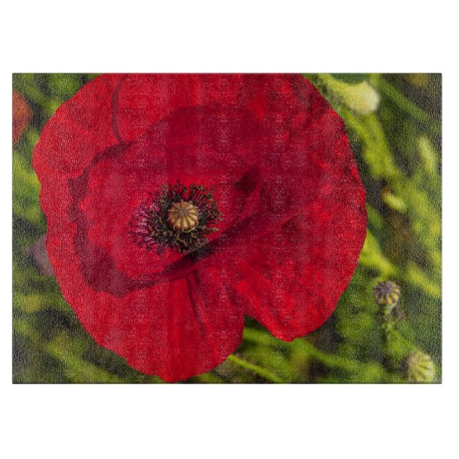 Vallmo-serien nr 2 (Framsidan)