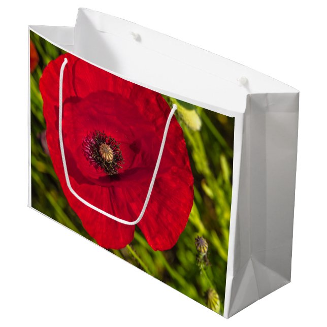 Vallmo-serien nr 2 (Framsidan Vinklad)