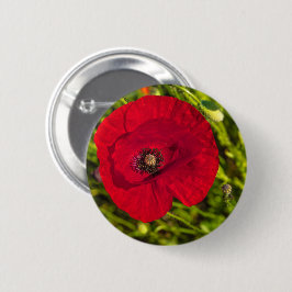 Vallmo-serien nr 2 knapp