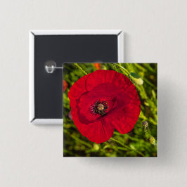 Vallmo-serien nr 2 knapp