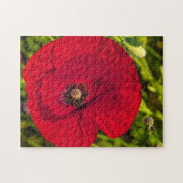 Vallmo-serien nr 2 pussel (Horisontell)