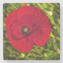 Vallmo-serien nr 2 stenunderlägg