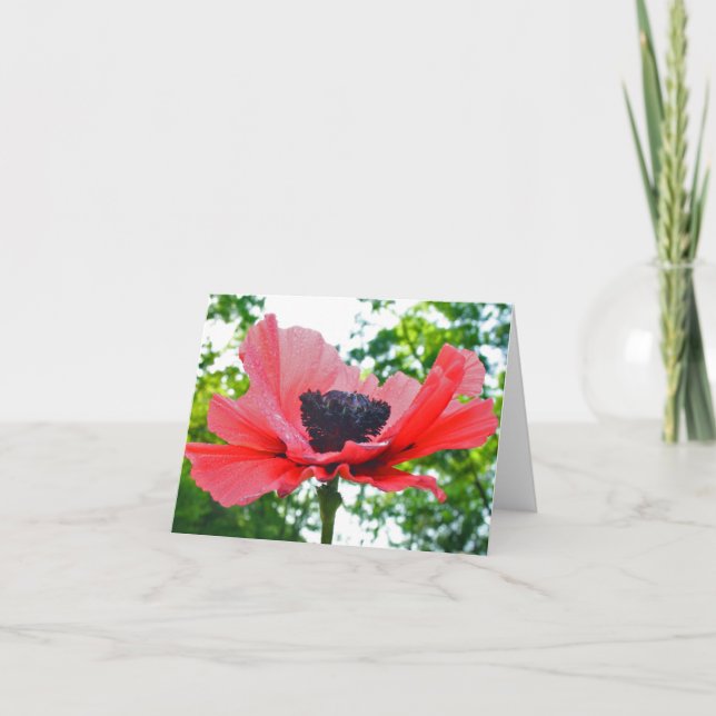 Vallmo tomma Notecard Kort (Framsida)