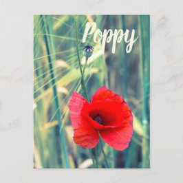 Vallmoblomma till trädgårdsmästare och blommar äls helg vykort