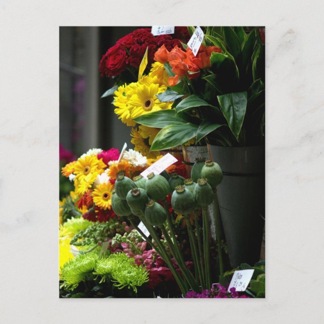 Vallmochefer Vykort (Framsida)