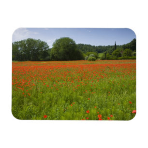 Vallmofält, Chiusi, italien Magnet