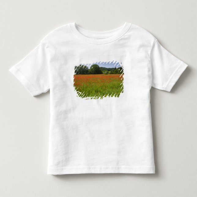 Vallmofält, Chiusi, italien T-shirt (Framsida)