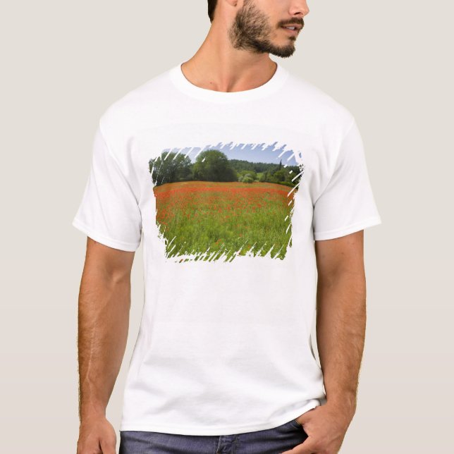 Vallmofält, Chiusi, italien Tee (Framsida)