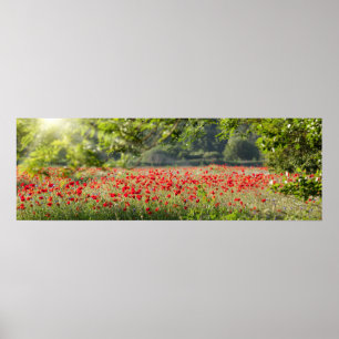 Vallmofältpanorama i vår poster
