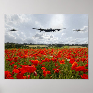 VallmoFlypast Poster