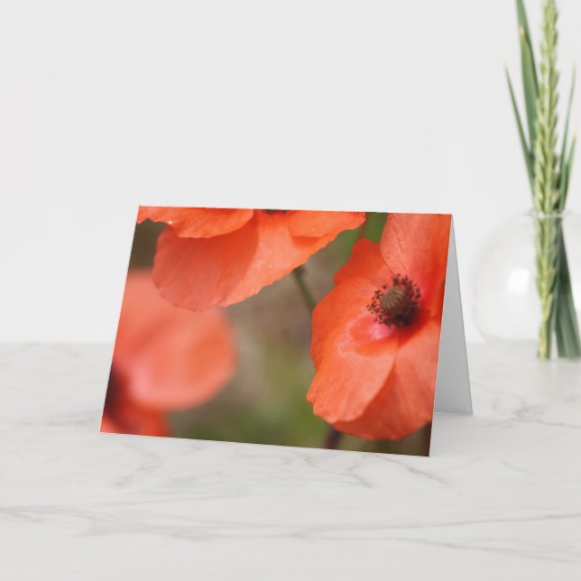 Vallmokort Kort (Framsida)