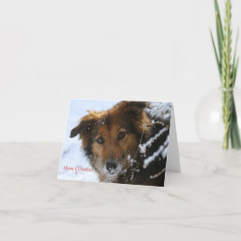Vallmon älskar snö helgkort
