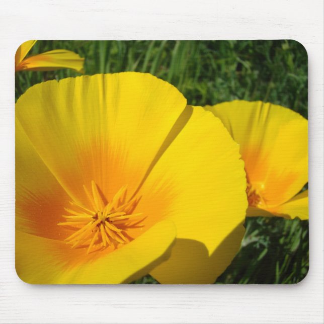 VALLMOPAD MED VALLMO Flower VALLMOPAD Musmatta (Framsidan)