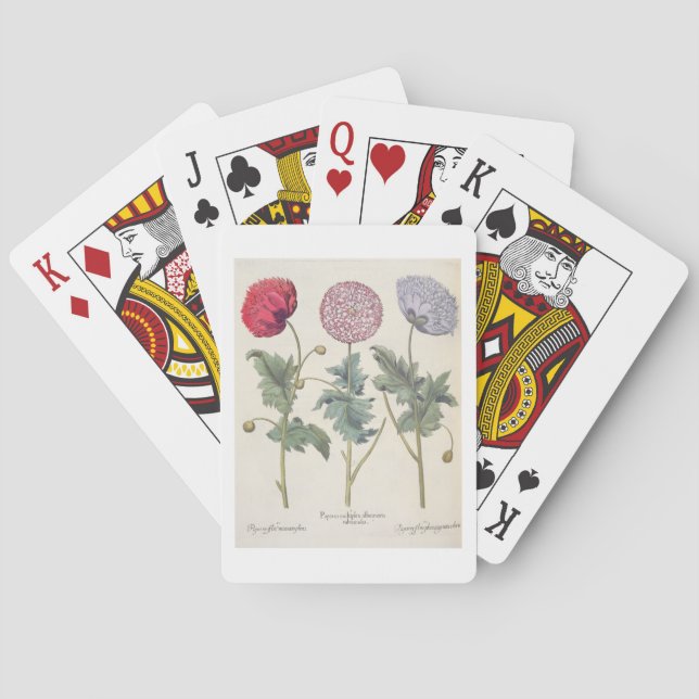 Vallmor: 1.Papaver multiplexöverför Kortlek (Baksidan)