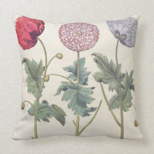 Vallmor: 1.Papaver multiplexöverför Kudde