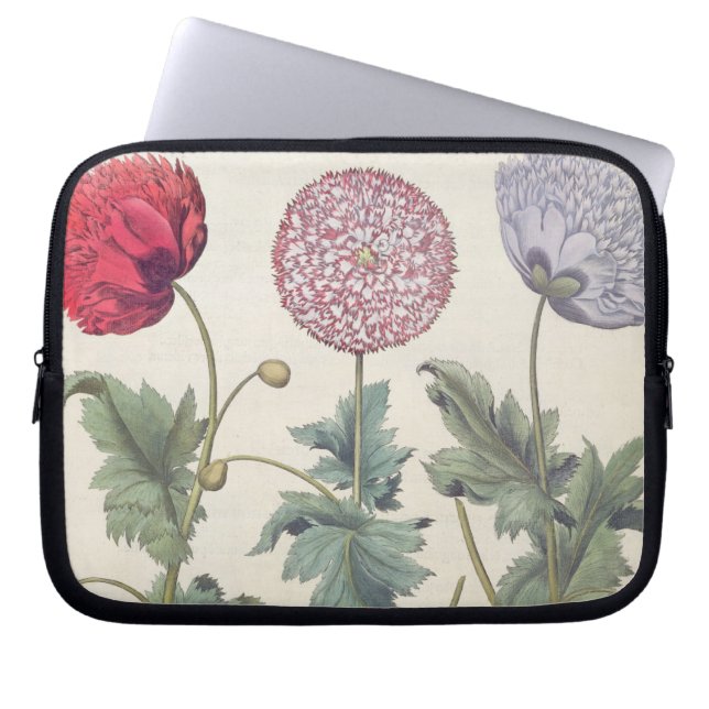 Vallmor: 1.Papaver multiplexöverför Laptop Sleeve (Framsidan)