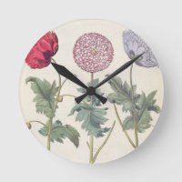 Vallmor: 1.Papaver multiplexöverför