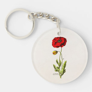 Vallmor för blommigt för blomma för vild för