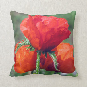 Vallmor graderar en bomullsdekorativ kudde 16x16