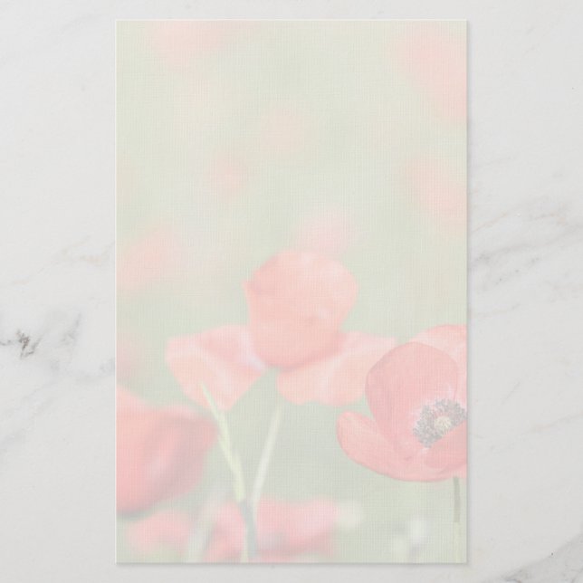 Vallmor i en vallmofältbrevpapper brevpapper (Framsida)