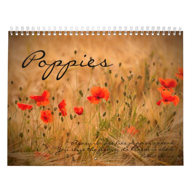 Vallmor i min vallmoträdgård - blommakalender kalender (Omslag)