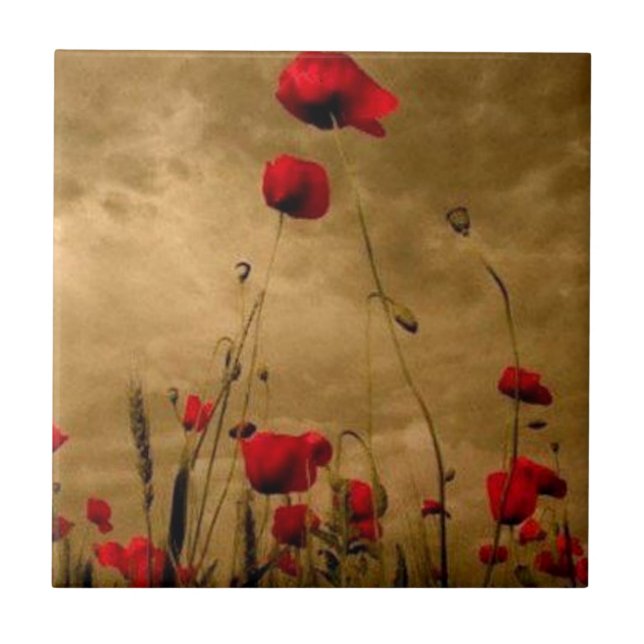 Vallmor Kakelplatta (Framsidan)