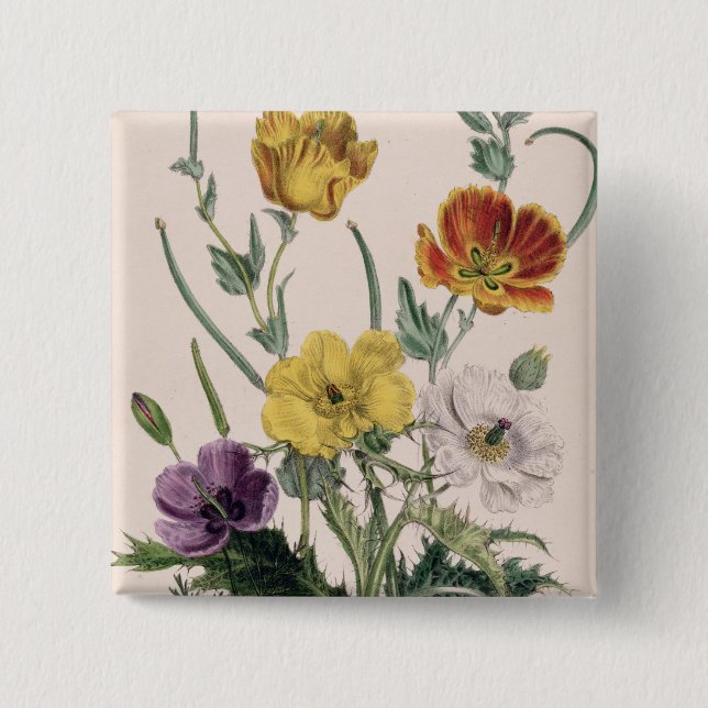 Vallmor och anemoner knapp (Framsida)