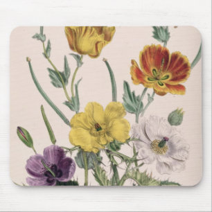 Vallmor och anemoner musmatta