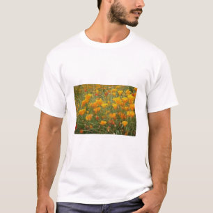 Vallmor T Shirt