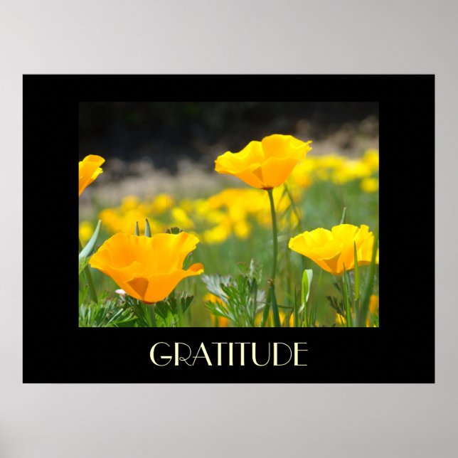 Vallmos konsttryck gåvor TACKSAMHET Vallmo blommor Poster (Framsidan)