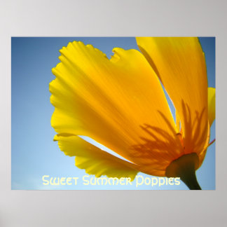 Vallmosor Orange Vallmo Blommor 13 Konsttryck Affi Poster