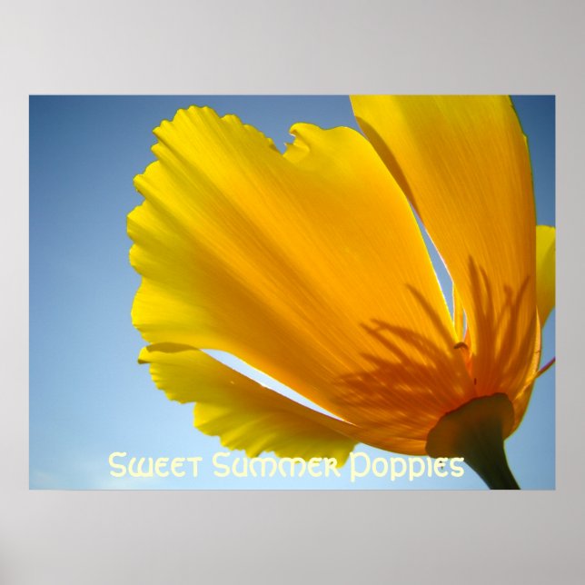 Vallmosor Orange Vallmo Blommor 13 Konsttryck Affi Poster (Framsidan)