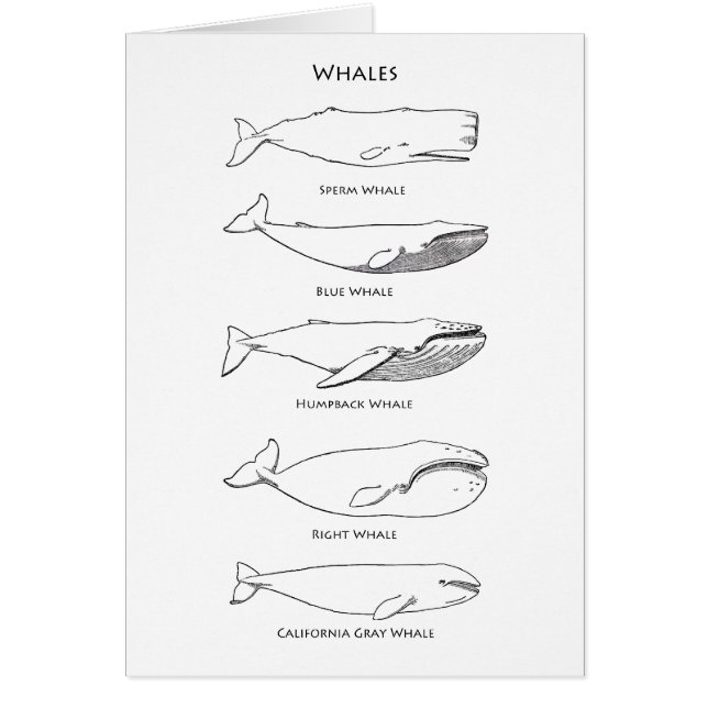 Vallogotyp Hälsningskort (Framsidan)