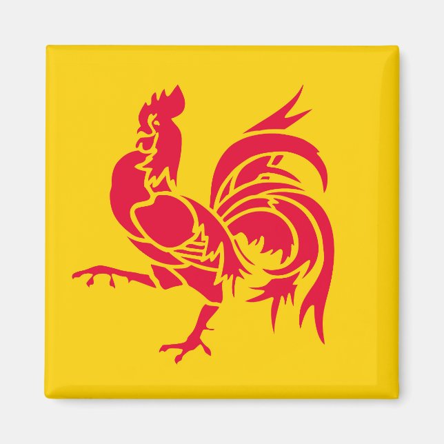 Vallonien flagga Belgium region fransk Province sy Magnet (Framsidan)