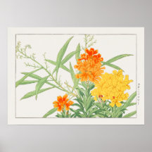Vallonien, Gult och Orange blomma av Konan.