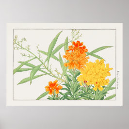 Vallonien, Gult och Orange blomma av Konan. Poster