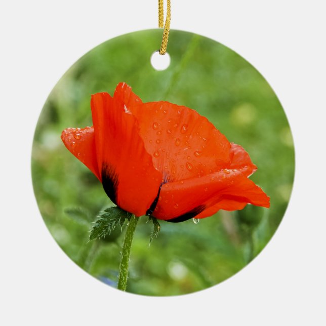 Valnötsprydnad Julgransprydnad Keramik (Framsidan)