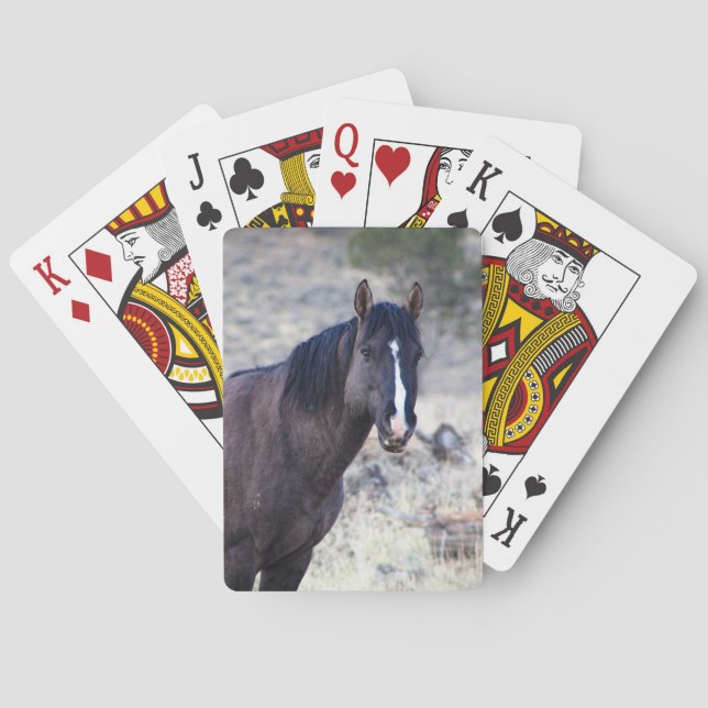 Valor Casinokort (Baksidan)