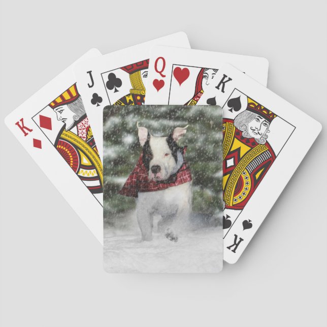 Valp av bulldog-Rädding Dash genom Snö Casinokort (Baksidan)