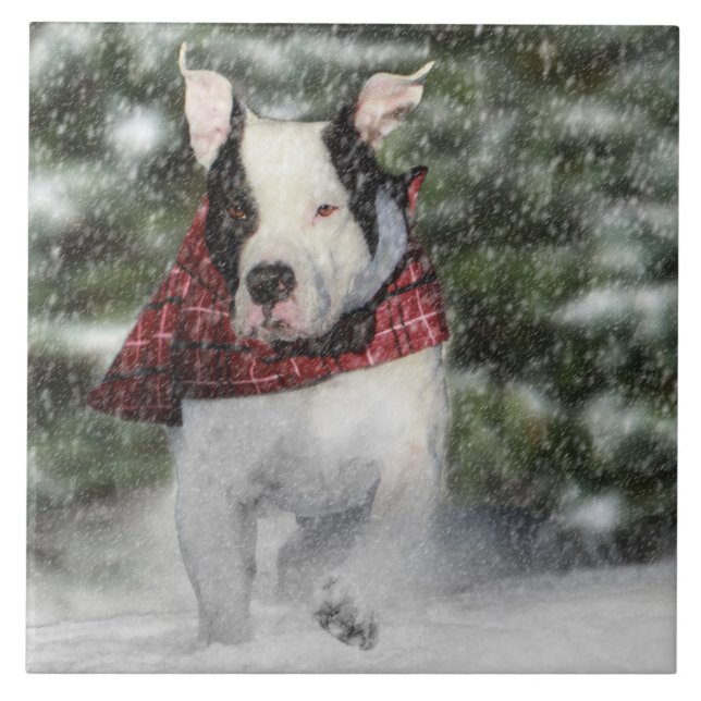 Valp av bulldog-Rädding Dash genom Snö Kakelplatta (Framsidan)