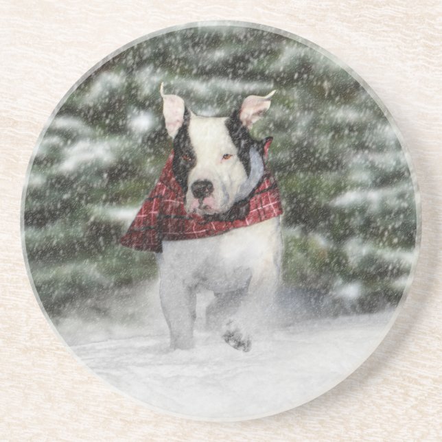 Valp av bulldog-Rädding Dash genom Snö Underlägg Sandsten (Framsidan)