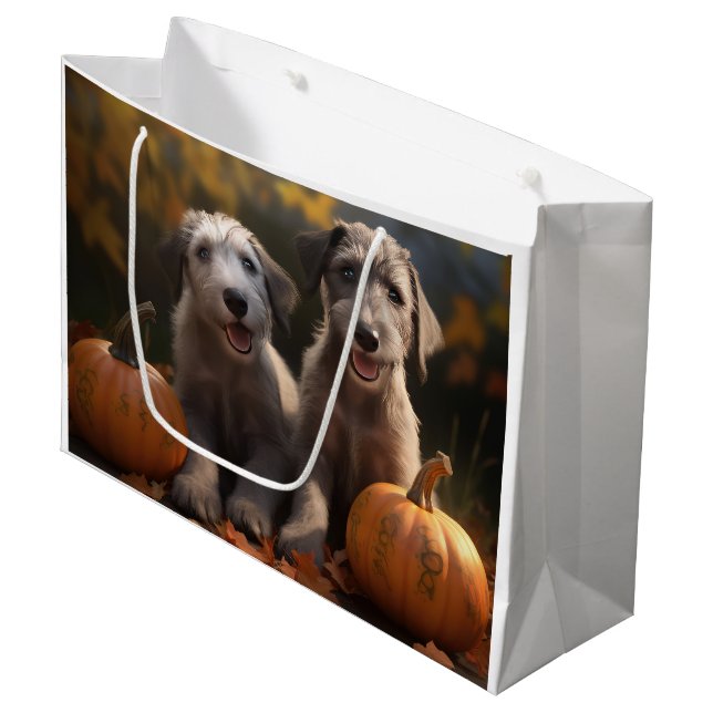 Valp av rasen irländsk varghund Höstglädje Pumpa (Framsidan Vinklad)