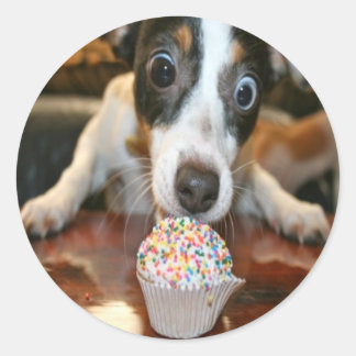 Valp Cake Sticker Runt Klistermärke