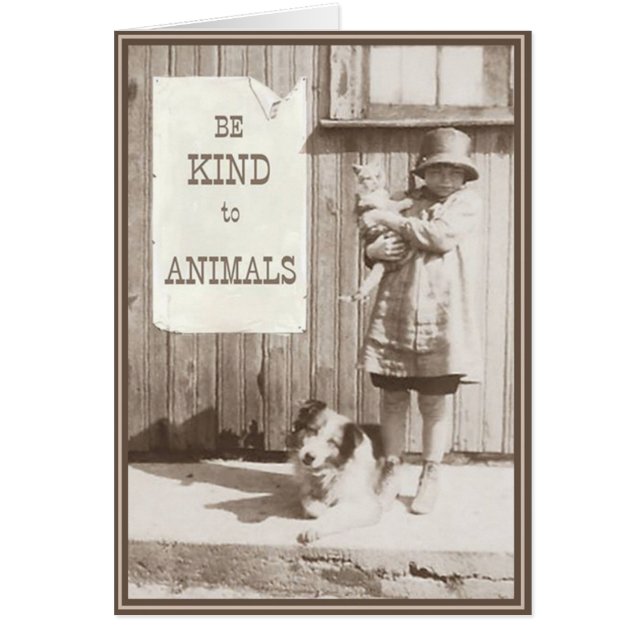 Valp Card Kattunge 10 Hälsningskort (Framsidan)